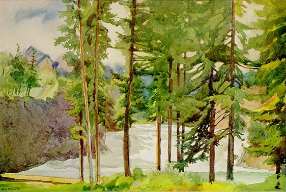 Bow Falls by WJ Phillips