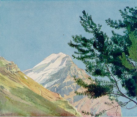 Mount Victoria by WJ Phillips