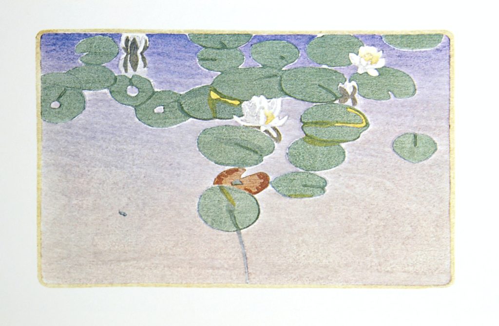 Water-Lilies by WJ Phillips