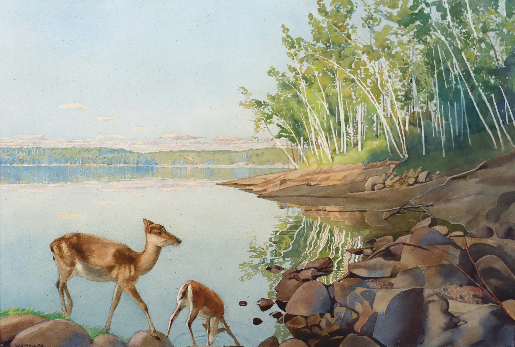 Phillips-Doe and Fawn, Lake of the Woods-web